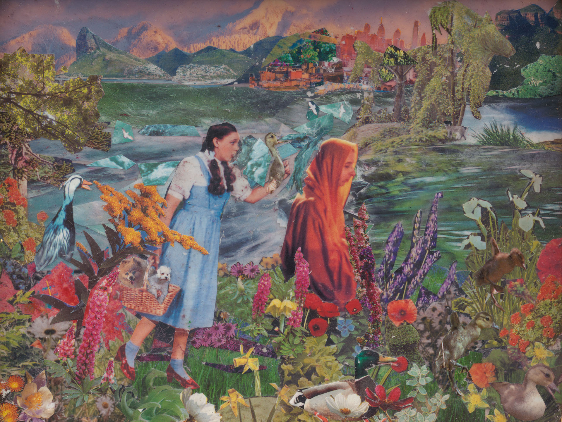 Oh Dorothy artwork by Shauna McNally