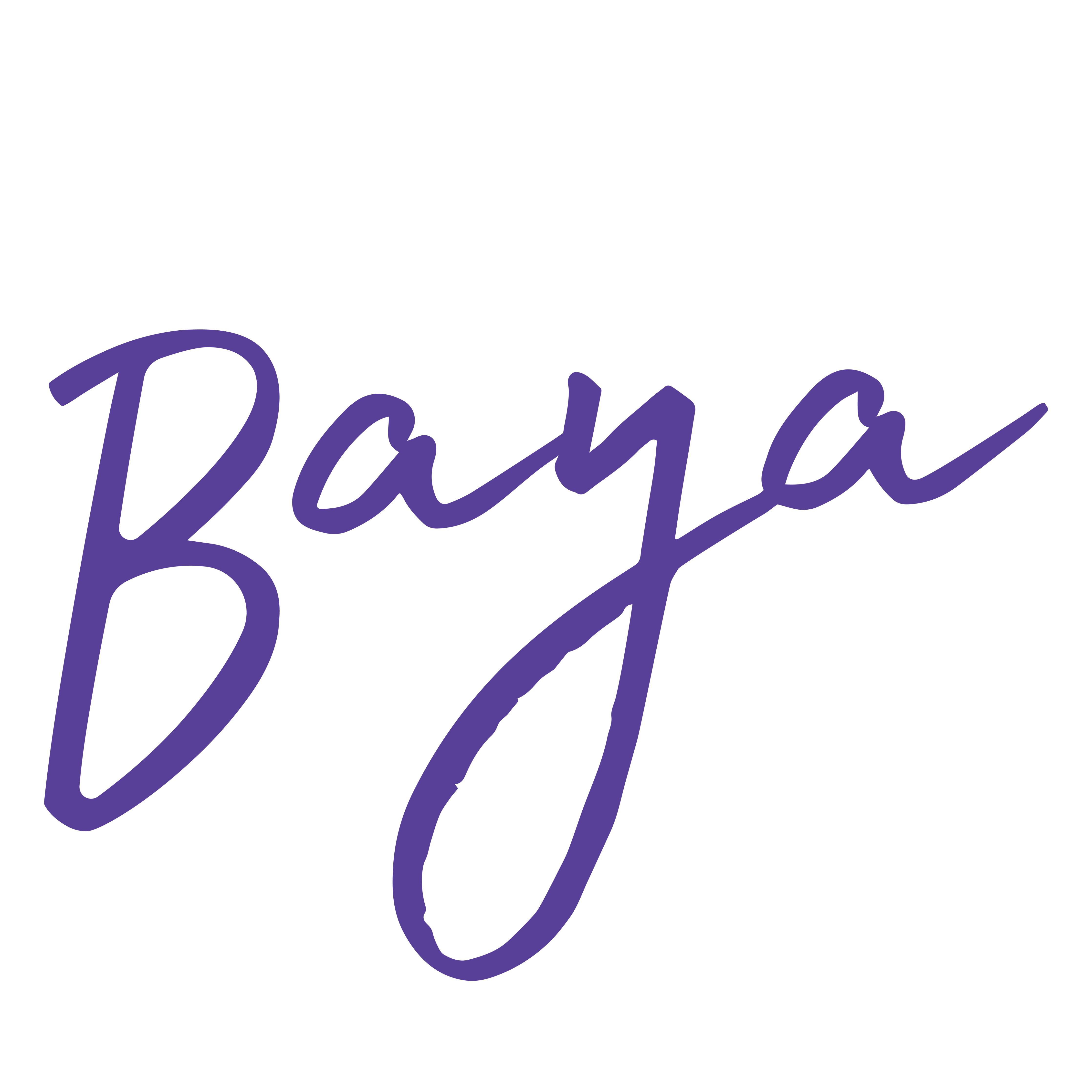 baya lined clog black